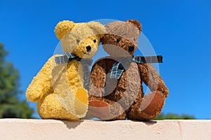 Two toy bears in love sitting on ence outdoor