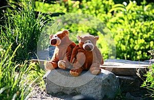 Two toy bears taking rest after long journey