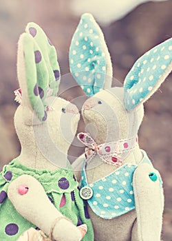 Two toy bunny