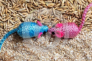 Two toy mice on grains and flakes of grain. Pink and blue mouse. Space for lettering or design