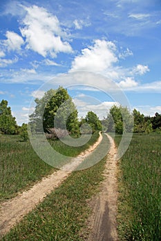 Two-track Dirt Road in Country