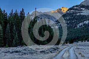 Two track road leads to the highest mountains in Idaho