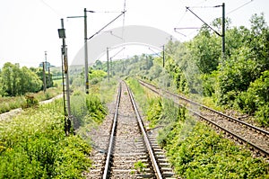 Two tracks of railways passing through vegetation zone