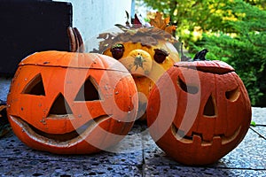 Two traditional carved halloween jack o lanterns in front and one non carved in back, placed on forefront on stone tiled floor