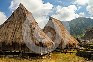 Two traditional houses in the Wologai village near Kelimutu in East Nusa Tenggara