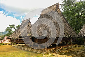 Two traditional houses in the Wologai village near Kelimutu in East Nusa Tenggara