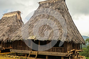 Two traditional houses in the Wologai village near Kelimutu in East Nusa Tenggara