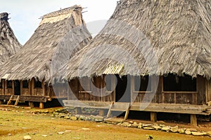 Two traditional houses in the Wologai village near Kelimutu in East Nusa Tenggara