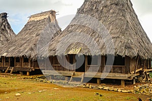 Two traditional houses in the Wologai village near Kelimutu in East Nusa Tenggara