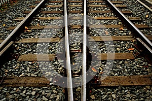 Two Train tracks in autumn