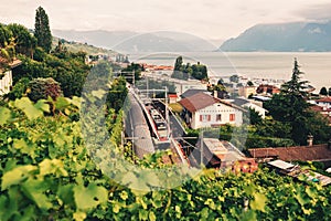 Two trains moving on rail-tracks through Lavaux vineyards