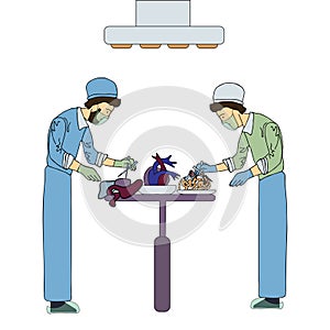 Two transplant surgeons work with organs for transplantation. Medical vector illustration, isolated on white.