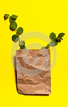 Two tree branches and recycled paper bag on yellow