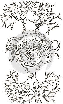 Two trees entwined roots. Hand-drawn illustration