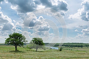 Two trees near river and dramatic sky