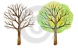 Two trees, silhouette, isolated on white background, watercolor