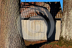 Two trees standing on front of a old wooden shed