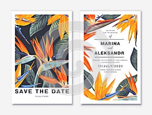 Two tropical, trendy, design template for poster, greeting or invitation, cover, party, advertisement, sale banner.