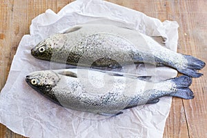 Two Trouts on the Table
