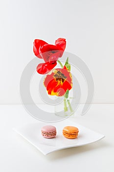 Two tulip flowers and two macaroon cookies.