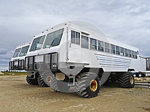 Two tundra buggys near Churchill