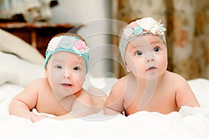 Two twin babies, girls in nice headbands