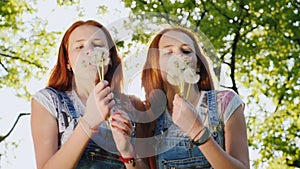 Two twin sisters play with dandelion flowers. Blow off the seeds. Slow motion video