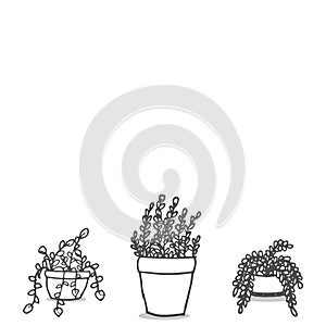 Two twiner with houseplant illustration isolated on white background. decorative plant. hand drawn vector. blank space template. d