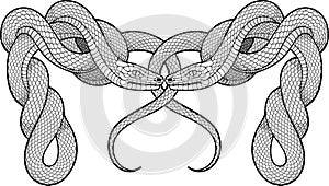 Two twisted snakes. Decorative element