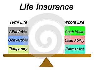 Types of Life Insurance photo
