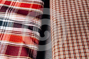 Two types of tissue with a cellular texture lie side by side