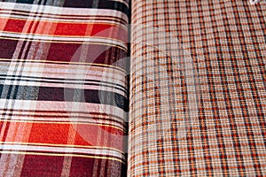 Two types of tissue with a cellular texture lie side by side