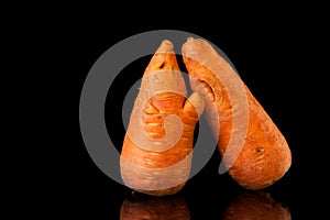 Two ugly carrots on a black background. Copy space