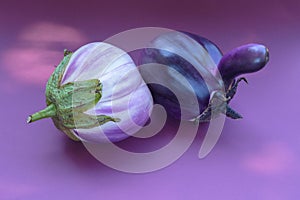 Two ugly eggplant on a paper purple background. Organic vegetable Solanum melongena. Conscious eating concept