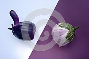 Two ugly eggplants on a contrasting white and purple paper background. Organic vegetable Solanum melongena.