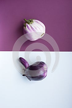 Two ugly eggplants on a contrasting white and purple paper background. Organic vegetable Solanum melongena. Conscious eating