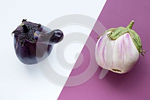 Two ugly eggplants on a contrasting white and purple paper background. Organic vegetable Solanum melongena. Conscious eating