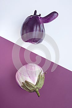 Two ugly eggplants on a contrasting white and purple paper background. Organic vegetable Solanum melongena. Conscious eating