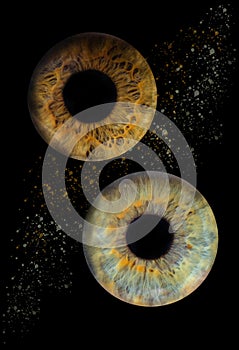 Two unique iris on a black background
