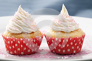 Two Vanilla Cupcakes