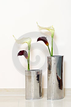 Two vases