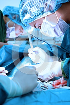 Two veterinarian surgeons in operating room