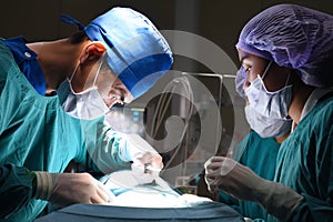 Two veterinarian surgeons in operating room