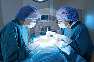 Two veterinarian surgeons in operating room