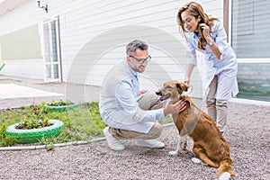 two vets palming dog on yard