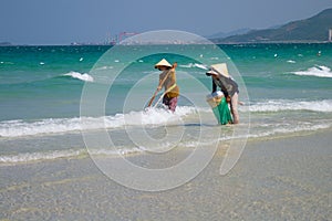 Two Vietnamese women are collecting sea shells on the shore in Nha Trang, Vietnam