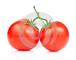 Two Vine fresh juicy tomato Isolated