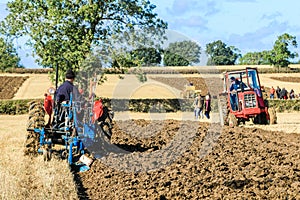 Two Vintage Massey Ferguson ploughing on stubble in crop field