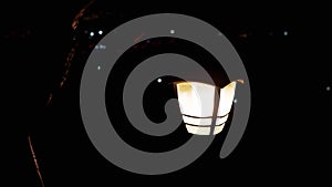 Two Vintage Street Lamps Illuminate the Courtyard at Night