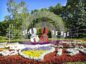 Two violins in a flowerbed in Kiev